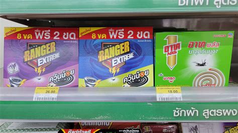 How to protect yourself from mosquitoes in Thailand – Pattaya-Pages.com