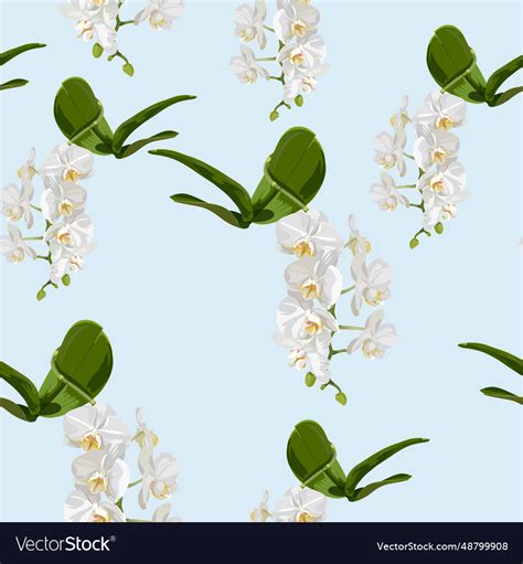 Seamless Pattern With Hand Drawn Orchids Vector Image