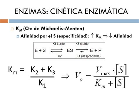 Tema Biocatalizadores Enzimas Ppt Descargar