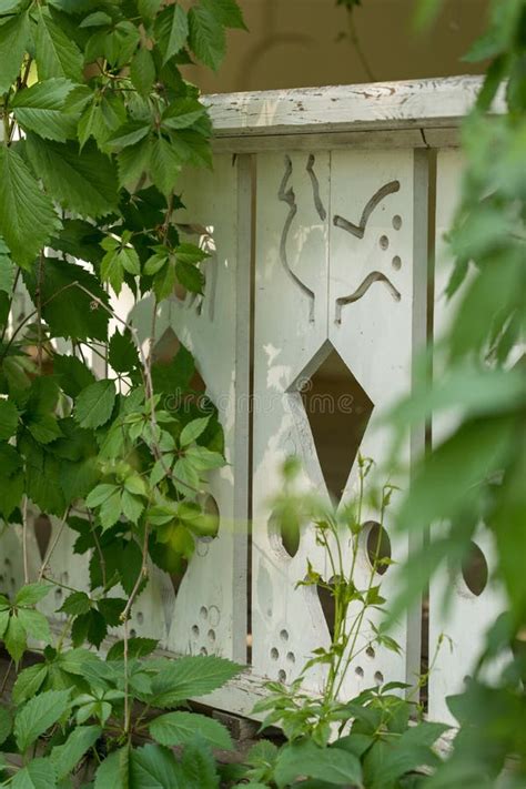 Sned Staketterrasser Den Skuggiga Terrassen Dekoreras Med Carvings