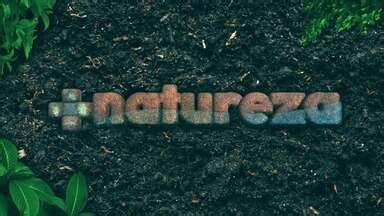 Natureza MT Natureza 2º Bloco 21 01 2023 Globoplay