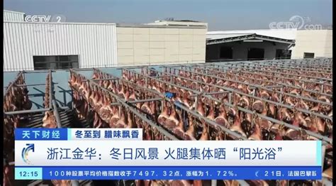 好玩好看！省级教育基地，金华新增4家｜新闻汇 澎湃号·政务 澎湃新闻 The Paper