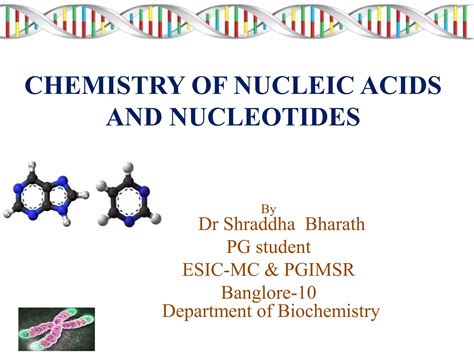 Chemistry Of Nucleic Acid Ppt