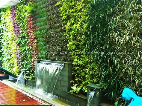 Berikut Ini 21 Contoh Gambar Vertical Garden Dinding Hijau Jasa