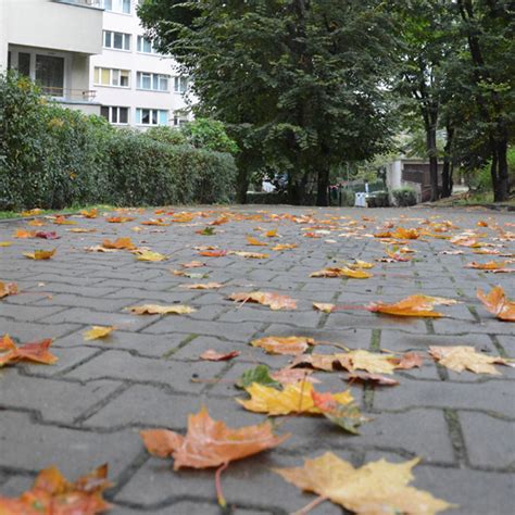 Jesień Spółdzielnia Mieszkaniowa Śródmieście