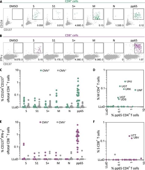 Sars Cov 2 Specific Cd4 And Cd8 T Cell Responses Can Originate From