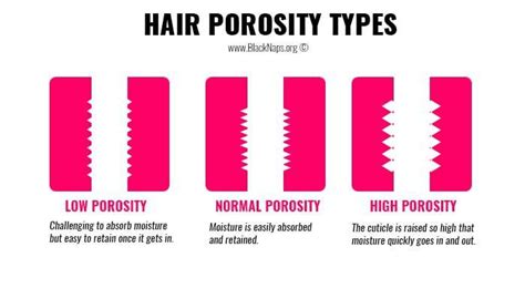 Hair Porosity Types: High, Medium and Low Porosity Hair | Low porosity hair products, Hair ...