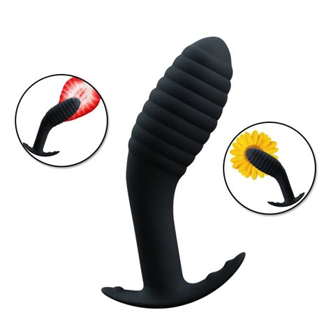 Vibrador Anal y masajeador de próstata para hombres y mujeres tapón