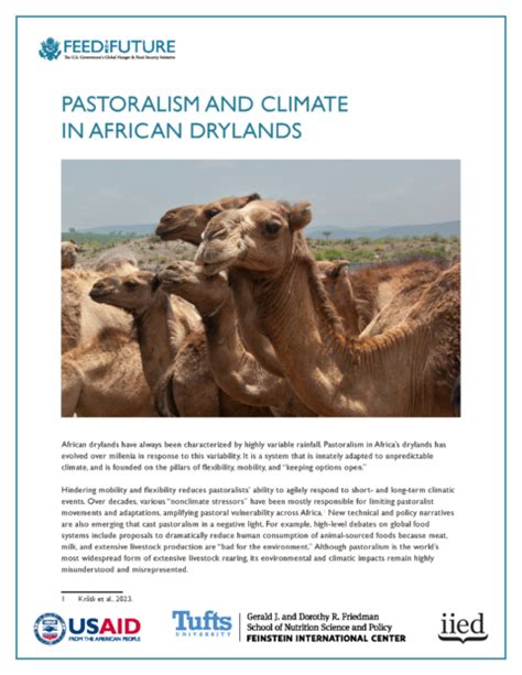 Pastoralism And Climate In African Drylands Tufts Feinstein