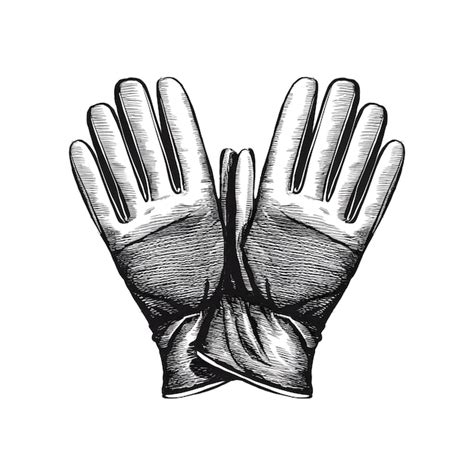 Premium Vector Gloves Monochrome Ink Sketch Vector Drawing Engraving