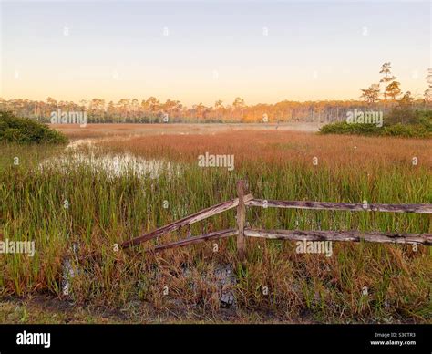 Wetlands Trail Hi Res Stock Photography And Images Alamy