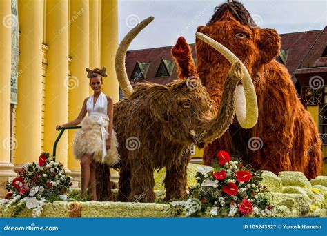 48th Flower Carnival in Debrecen, Hungary Editorial Photography - Image ...