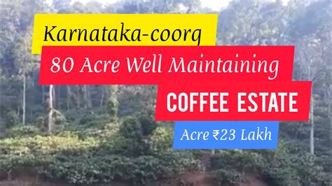 80 Acre Coffee Estate With Mixed Agri Farm For Sale Karnataka Coorg