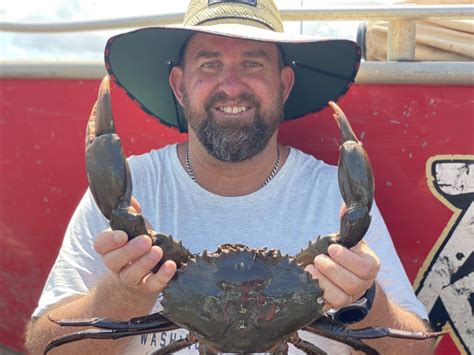 Mud Crab Tours Darwin Fresh Caught And Cooked Mud Crabs