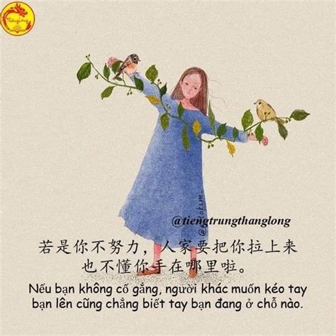 Ghim trên Quotes | Tiếng trung quốc, Văn chương, Suy nghĩ tích cực