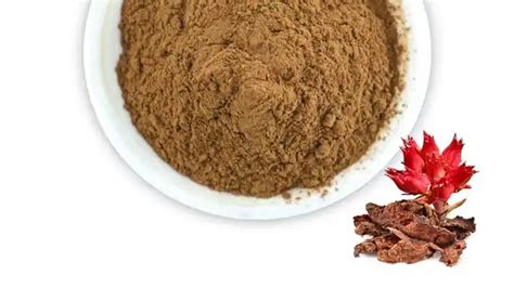 Plant Extract Natural Rhodiola Rosea Extract Powder 3rhodiola Kgr Rosavin Rhodiola Rosea