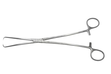 Update Uterine Dressing Forceps Diagram Super Hot Seven Edu Vn