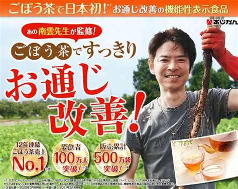 ごぼう茶 国産焙煎ごぼう茶20包 ごぼう 2袋 国産 ティーパック ノンカフェイン お茶 あじかん 牛蒡 南雲 健康茶 おちゃ 送料無料 母