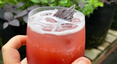 MOCKTAIL MIXOLOGY | preserved