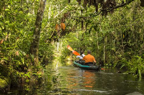 Tofino Expeditions Amazon Amazon Kayaking Trip Kayaking The