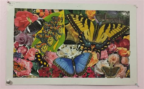 11th Grade Butterfly Garden Theme Collage By 17reshiram On Deviantart