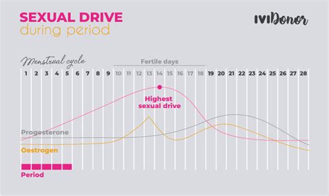 Sex Drive During Period IVIDonor