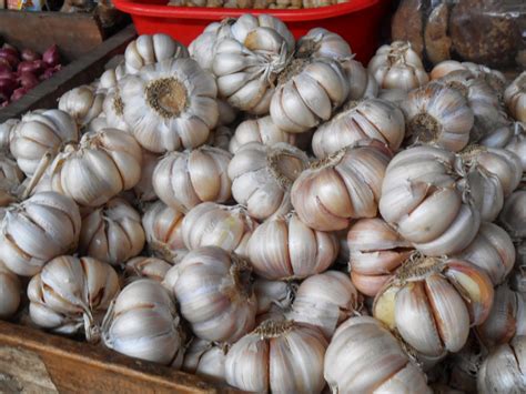 Jenis Jenis Bawang Merah Dan Bawang Putih