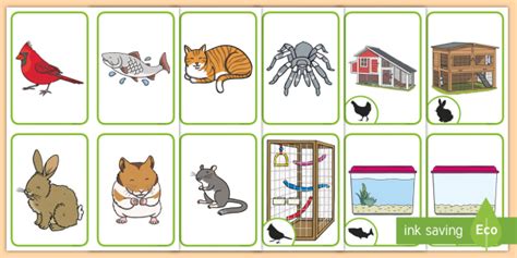 Pets and Their Homes Pairs Matching Cards (Teacher-Made)