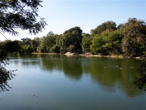 Sirpur Lake Indore. stock photo. Image of green, lagoa - 167958992