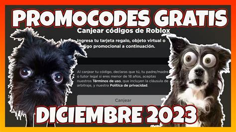 Todos Los Promocodes Activos De Roblox Diciembre 2023 Promocodes De