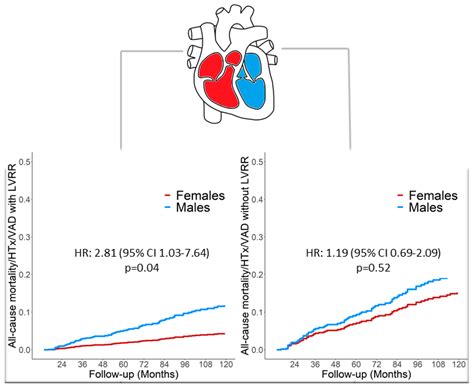 Jcm Free Full Text Sex Specific Prognostic Implications In Dilated