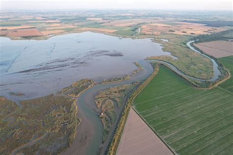 Una nuova Ilva minaccia la biodiversità della laguna friulana e l