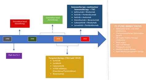 Sarcomatoid Renal Cell Carcinoma The Present And Future Of Treatment