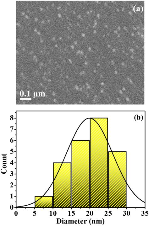 Sem Micrograph A And Particle Size Distribution Graph B Of Cnds