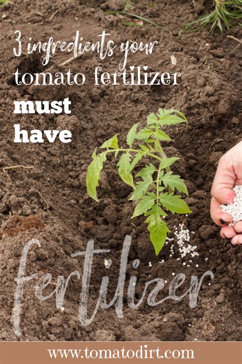 Kinds of tomato fertilizer; what nutrients tomatoes need