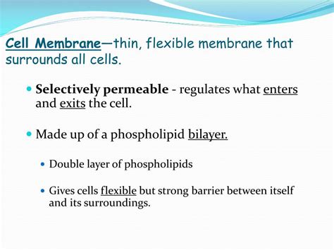 Ppt Ch 5 Cell Membrane And Transport Powerpoint Presentation Free Download Id 5672556