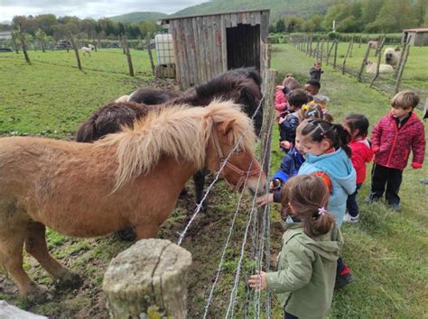 Visita A La Granja Ed Infantil Colegio La Compasi N Escolapios