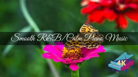 ⌚ 1 Hour Of Randb Soul Calm Instrumental Piano Music Relaxing Calming