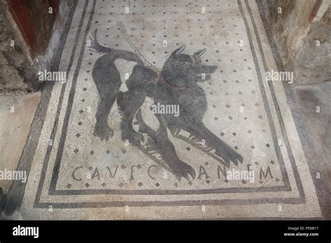 Dog Depicted In The Roman Mosaic Cave Canem Beware Of The Dog In The