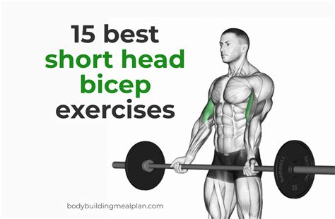 15 Short Head Bicep Exercises For Sleeve Busting Arms