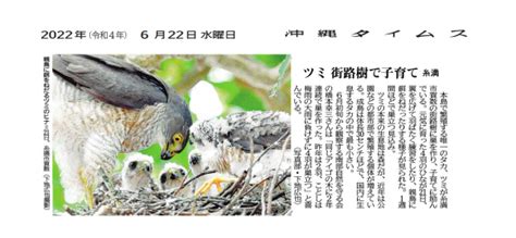 第174回 沖縄のグラビトン結界の第三者的検証