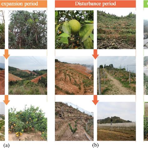 Three Periods Of The Citrus Planting In Xunwu County A The Download Scientific Diagram