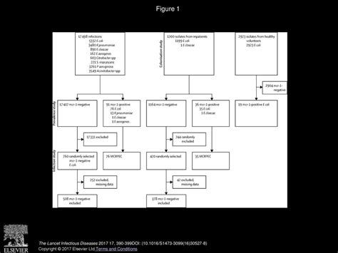 Prevalence Risk Factors Outcomes And Molecular Epidemiology Of Mcr