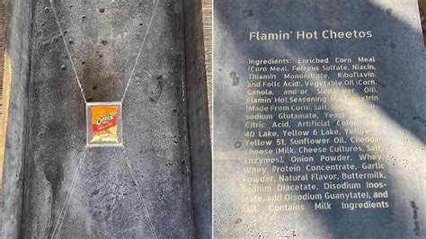 The Incredible Lengths One TikToker Went To Preserve A Bag Of Flamin Hot Cheetos