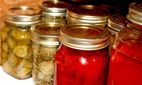 Understanding The Five Main Food Preservation Strategies Baileylineroad