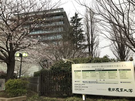 【世田谷区】今年、130周年を迎える東京農業大学では「世田谷キャンパス2号館・13号館」の解体工事が始まりました。順番に建て替えが進んでいます