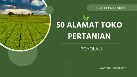 50 Alamat Toko Pertanian Lengkap Dengan Nomor Telpon Di Boyolali Bertanam