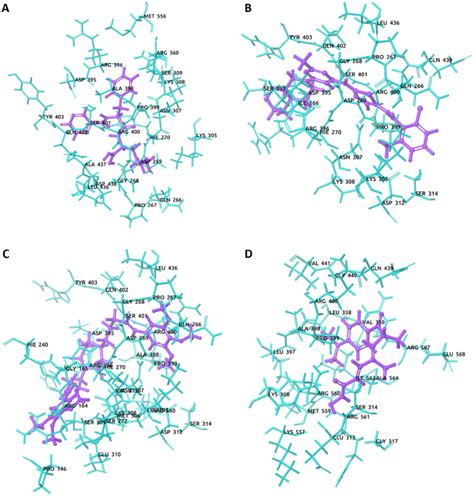 The D Interaction Between Mcm Protein And Selected Compounds Complex