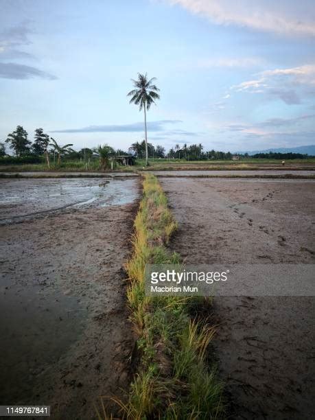 Kota Marudu Photos and Premium High Res Pictures - Getty Images