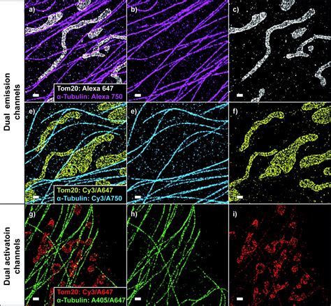 Multicolor Super‐resolution Fluorescence Imaging Via Multi‐parameter Fluorophore Detection